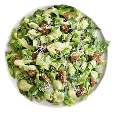 Cesar Salad